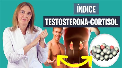 DEBES SABER la RELACIÓN entre TESTOSTERONA y CORTISOL Cortisol