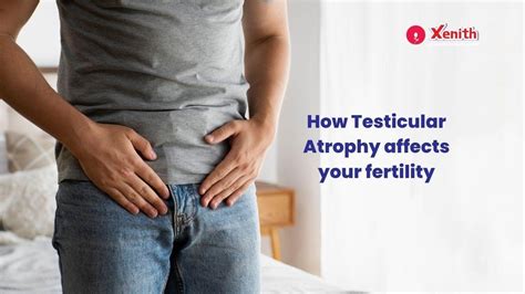 Male Infertility How Testicular Atrophy Affects Your Fertility