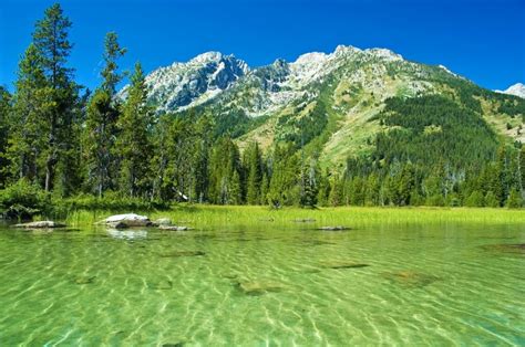 Grand Teton Parks Usa Mountains Water Scenery Rare