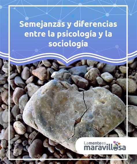 Semejanzas Y Diferencias Entre La Psicología Social Y La Sociología