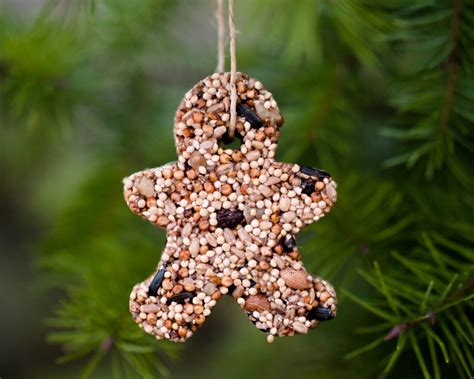 How To Make Birdseed Ornaments For Wild Birds Backwoods Mama