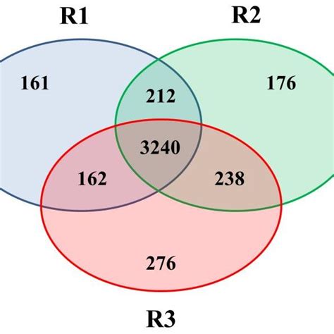 Venn Diagram Showing The Number Of Identified Proteins In Experiments R1 Download Scientific