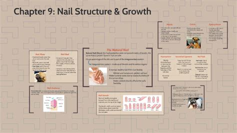 Chapter 9: Nail Structure & Growth by Kelsi Richter on Prezi