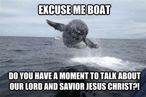 16 Whale Memes That Will Make You Laugh All Day | Shark jokes, Whale, Memes