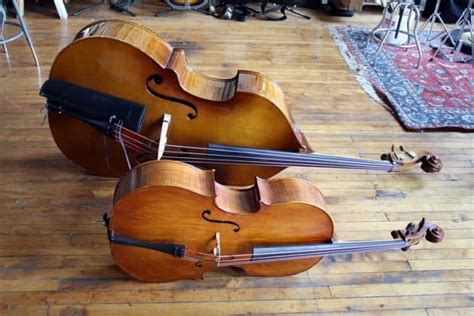 Cello Vs Bass The Difference That Matters