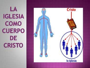 La Iglesia Como Cuerpo De Cristo Cuerpo De Cristo La Iglesia De