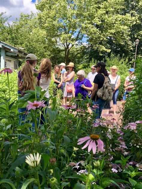 Native Plant Day Pics The Meadowlands Nature Blog