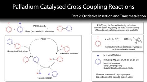 Palladium Cross Coupling Reactions Oxidative Insertion And