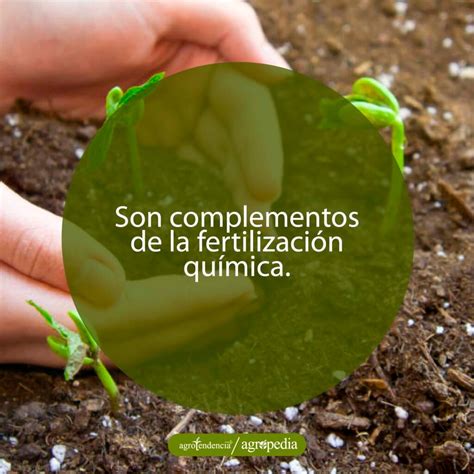 Biofertilizantes Conoce Qu Son Sus Tipos Y Aplicaci N