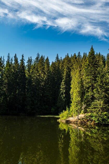 A floresta de coníferas perto do lago é refletida no céu azul da água