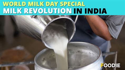 White Revolution - India's Milk Revolution | Operation Flood | World ...