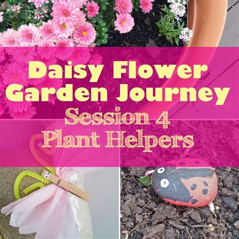 Daisy Flower Garden Journey Session 4 Plant Helpers Girl Scout Daisy Girl Scout Daisy