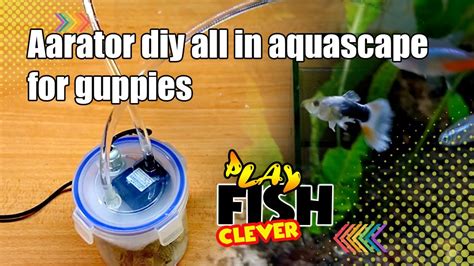 Earator Diy All In Aquascape Aquascape Panorama The Guppy Farmexotic