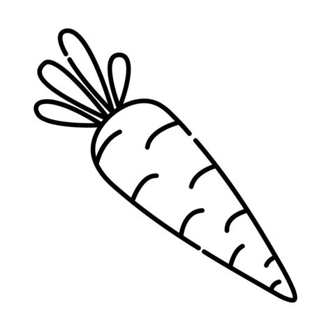 Carrot Black And White Vector Line Icon Dessin Carotte Noire Noir