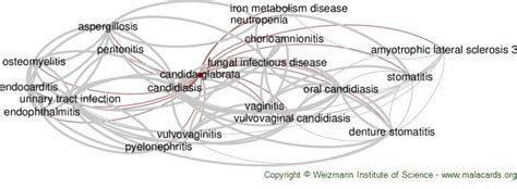 Candida Glabrata disease: Malacards - Research Articles, Drugs, Genes, Clinical Trials