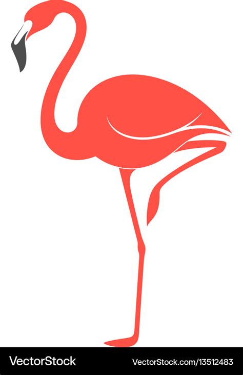 Pink Flamingo Royalty Free Vector Image Vectorstock