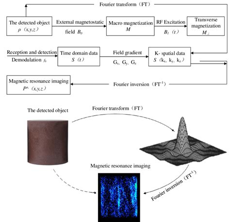 Basic Flow Of Mri And The Fourier Transform Process Download