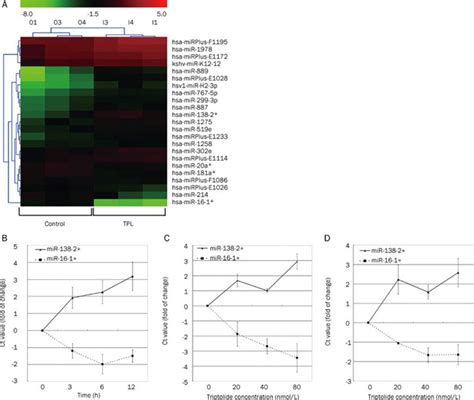 Triptolide Inhibits The Proliferation Of Cells From Lymphocytic