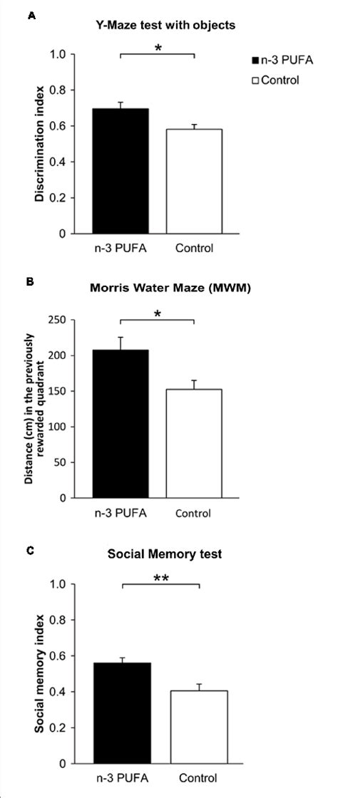 N 3 PUFA Supplementation Effects On Mnesic Performances A