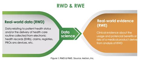 The Crucial Role Of Real World Data And Real World Evidence In