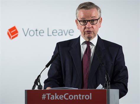 Eu Referendum Michael Gove Says He Doesnt Mind If Brexit Campaign