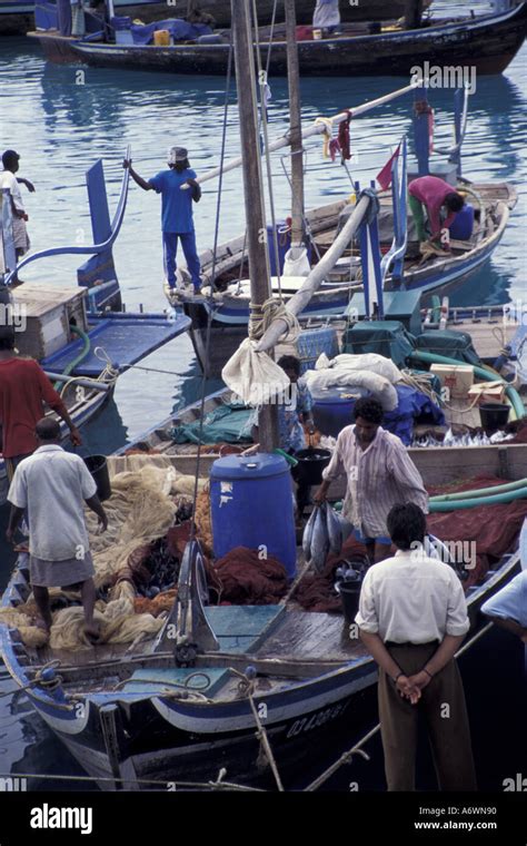 Maldives fish market hi-res stock photography and images - Alamy