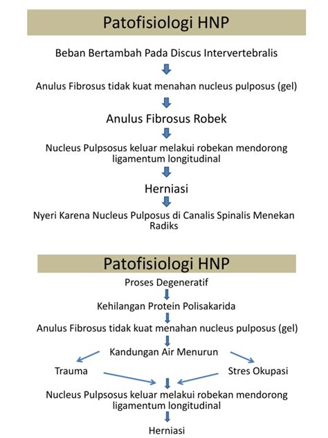 Patofisiologi Hnp Beban Bertambah Pada Discus Intervertebralis Pdf