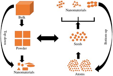 1 Illustration Of The Most Common Approaches Top Down And Bottom Up Download Scientific