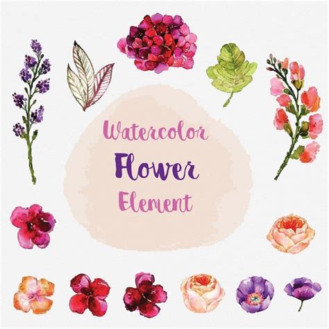 Premium Vector Watercolor Flower Element