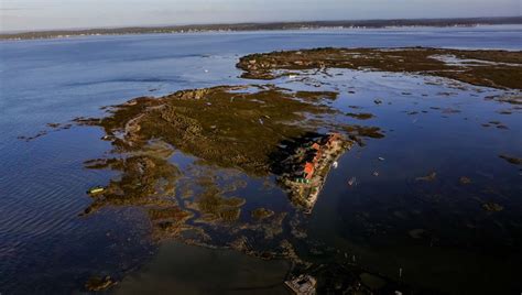 On Est Tombé Pour Elle LÎle Aux Oiseaux Sur Le Bassin Darcachon