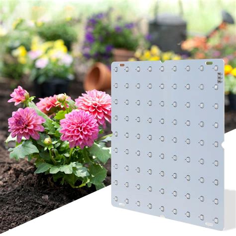 Led Grow Light Red Blue Full Spectrum Leds Grow Lamps Led Panel