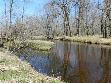 Little Rock Creek Minnesota Trout Unlimited