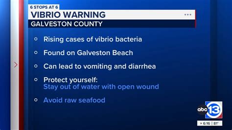 Vibrio Bacteria Warning Issued For Beachgoers By Galveston County Health District Officials