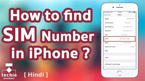 How To Find Iccid Or Sim Number From Iphone Hindi Youtube