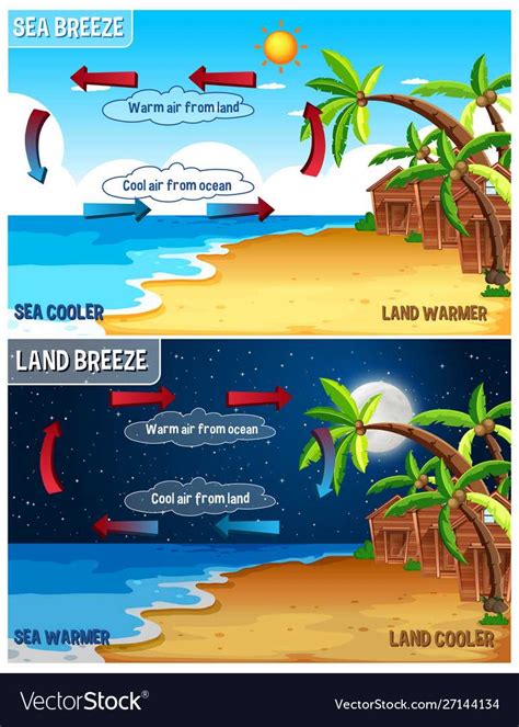 Understanding Land and Sea Breeze Diagrams: A Visual Worksheet Guide