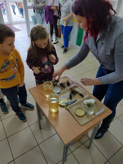 naturaviva hr Edukacija o signalnim se nastavlja u OŠ Vojnić