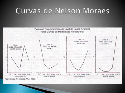 Curva Nelson De Moraes