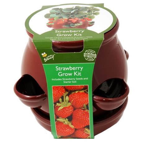 Buzzy Strawberry Pot - Red at Lowes.com