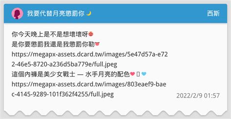 我要代替月亮懲罰你 🌙 西斯板 Dcard