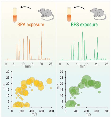 Effects Of Bisphenol A And Bisphenol S Exposure At Low Doses On The