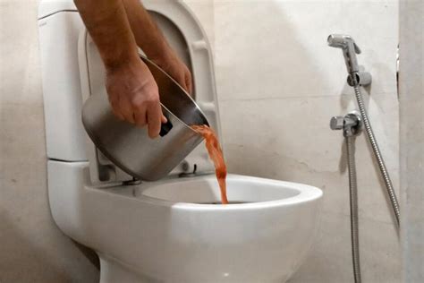 Aprenda 8 maneiras de como desentupir vaso sanitário de forma simples e