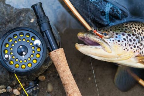 Complete Guide To Trout Fishing In Michigan Best Fishing In America