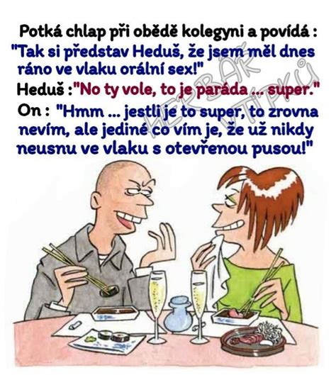 pin  vera cepkova su vtipy