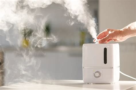 Perbedaan Humidifier Dehumidifier Dan Air Purifier