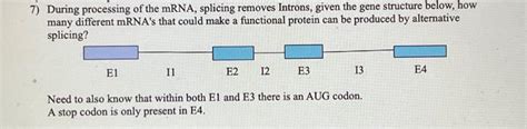 Solved During processing of the mRNA, splicing removes | Chegg.com