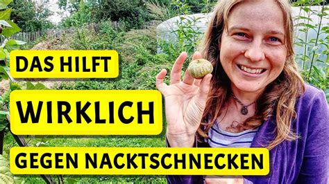 Mein Tip Nacktschnecken loswerden für immer YouTube