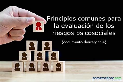 Objetivos de la evaluación de riesgos psicosociales Prevencionar