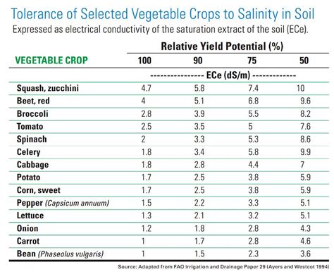 Is Salinity Harming Your Vegetable Crops Growing Produce