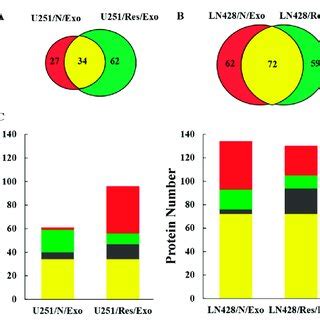 Proteomic Analysis Of U And Ln Cell Derived Exosomes A B Venn