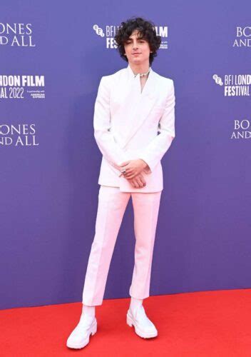 Timothee Chalamet Attends The Bones And All Premiere During The Th